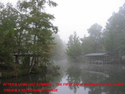 foggy morning at Lake Seminole